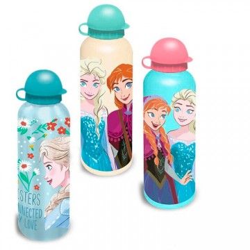 Cantil de alumínio sortido Frozen Disney 500ml DISNEY - 1