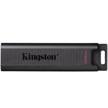 Pendrive 256GB Kingston DataTraveler Max USB Tipo-C KINGSTON - 1