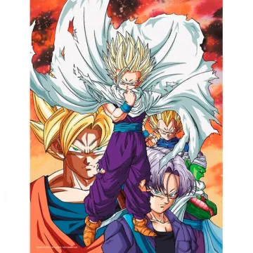 Poster cristal Heroes vs Cell Dragon Ball Z SD TOYS - 1