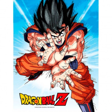 Poster cristal Goku Kame...