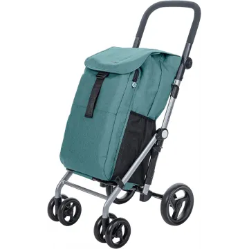 CARRINHO DE COMPRAS CARLETT CLASSIC DUO PINE VERDE Carlett - 1