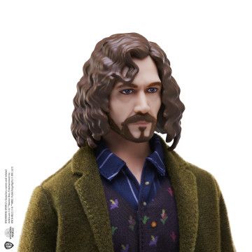 HARRY POTTER - Figura Sirius Black HCJ34  - 2