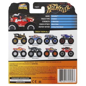 HOT WHEELS - Monster Truck FYJ44 - Envio Aleatório  - 116