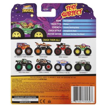 HOT WHEELS - Monster Truck FYJ44 - Envio Aleatório  - 122