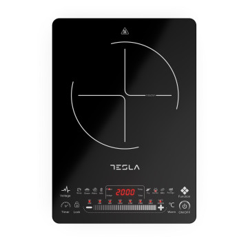  TESLA - 1