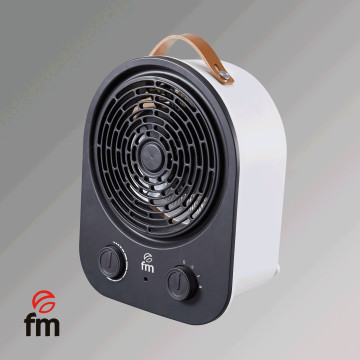  FM - 1