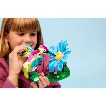 LEGO - Animais Selvagens: Beija-flor Colorido 31384 LEGO - 6