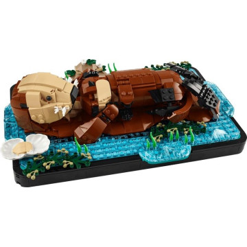 LEGO - Lontras Marinhas Flutuantes 21366 LEGO - 1