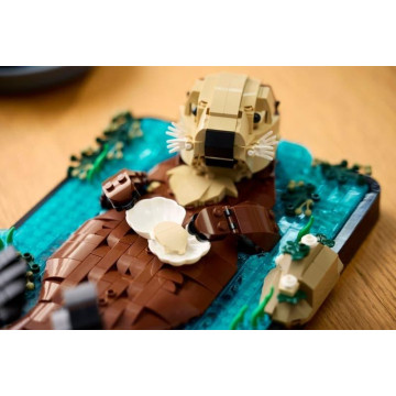 LEGO - Lontras Marinhas Flutuantes 21366 LEGO - 10