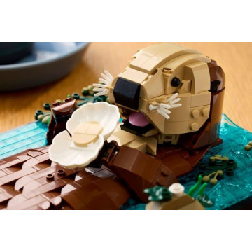 LEGO - Lontras Marinhas Flutuantes 21366 LEGO - 14