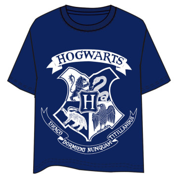 Camiseta Hogwarts Harry...