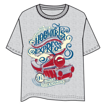 Camiseta Hogwarts Express...