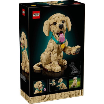  LEGO - 17