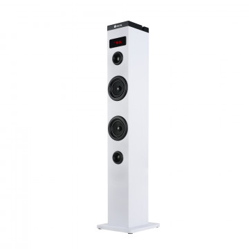 TORRE SOM NGS BT/FM 50W-SKYCHARMWH NGS - 2
